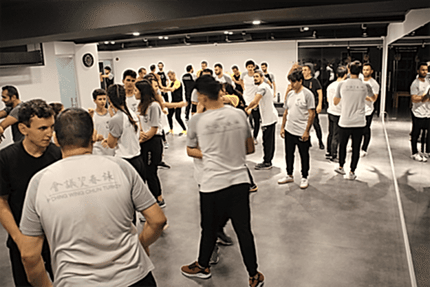 Wing Chun 12 wing chun 6